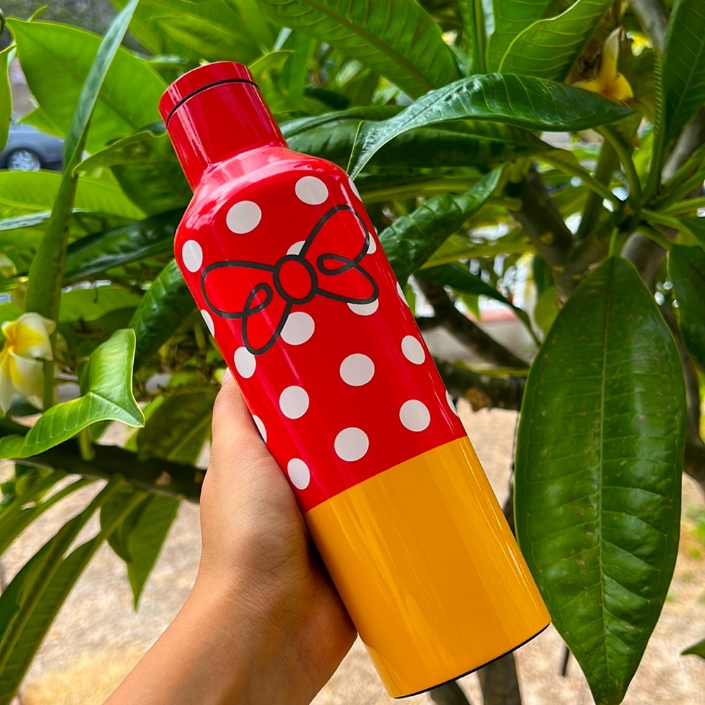 CORKCICLE x DISNEY Minnie Mouse Canteen Water Bottle
